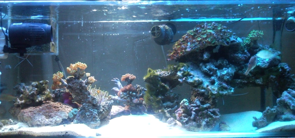 FTS