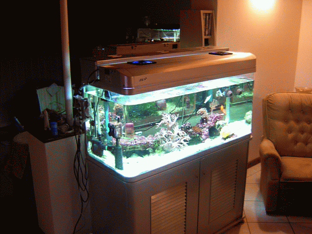 Jebo light retrotit IIIa