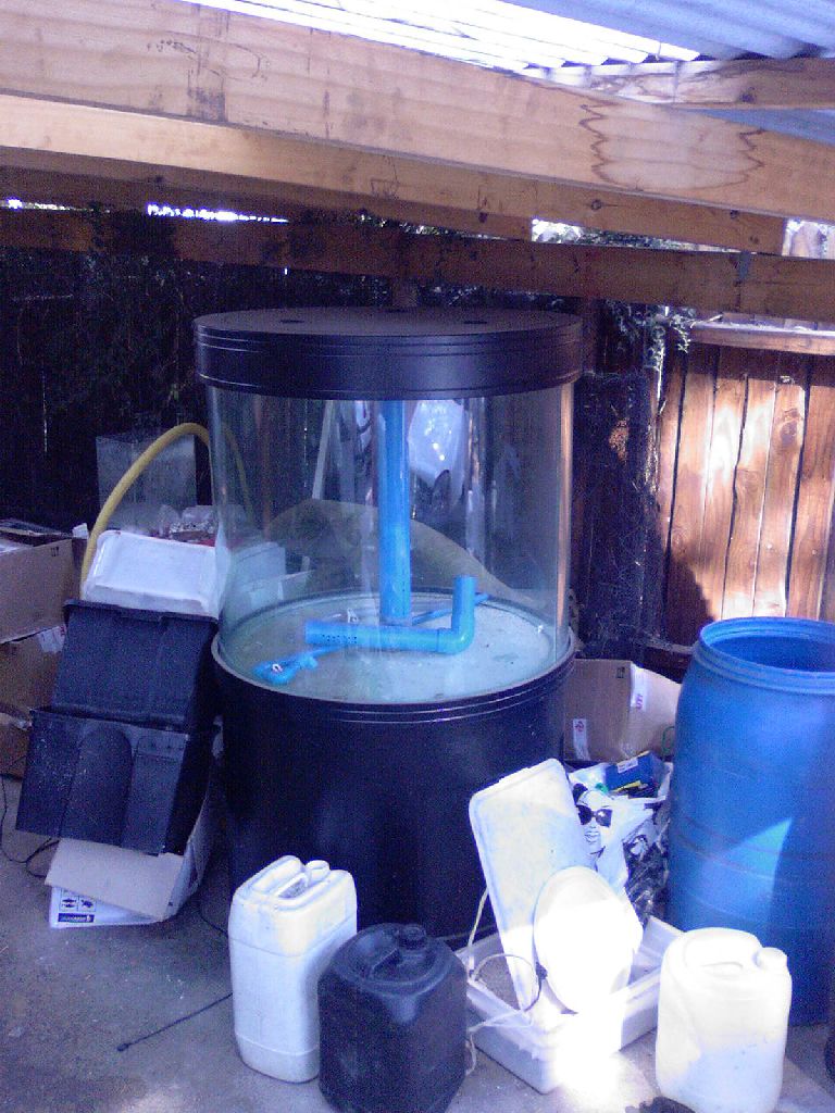 Meeting 5 - Bob the Reef Builder's System 9