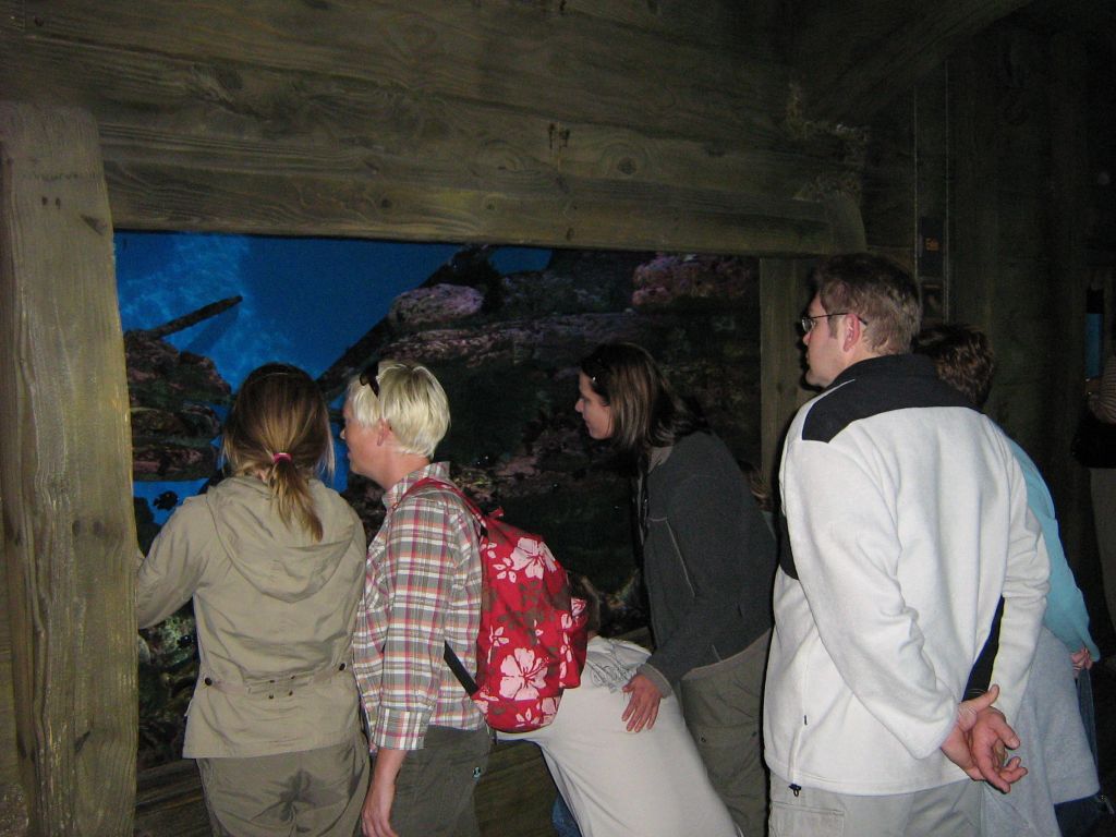 SARKAB 2006 Durban 6