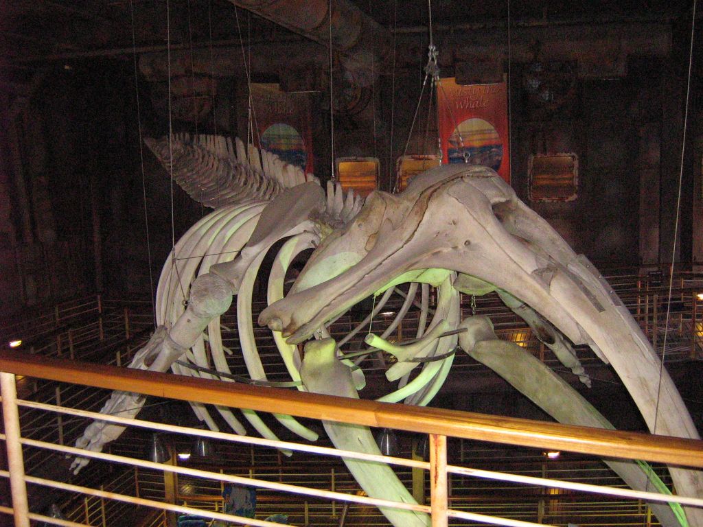 SARKAB 2006 Durban 6