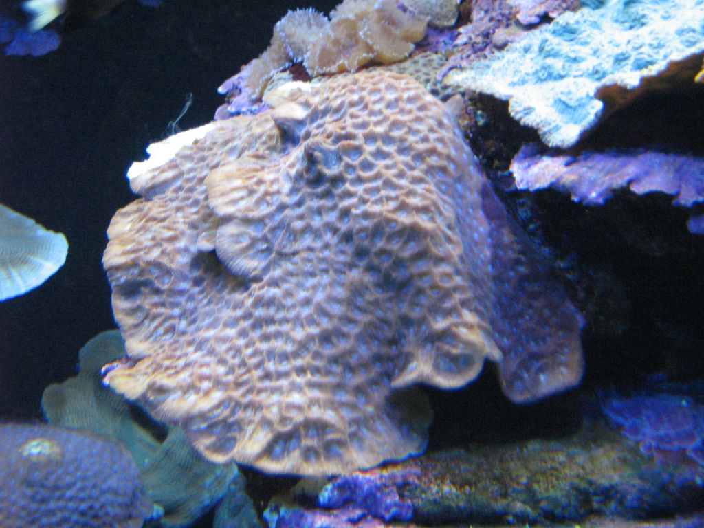 SARKAB 2006 Durban 6