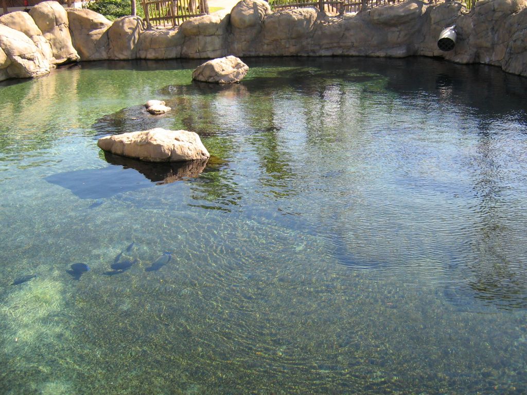 SARKAB 2006 Durban 5