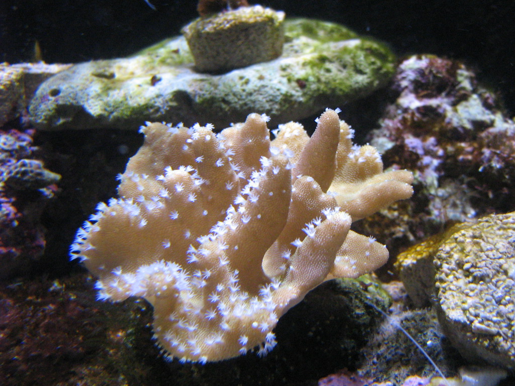 Meeting 12 - Fragman 5