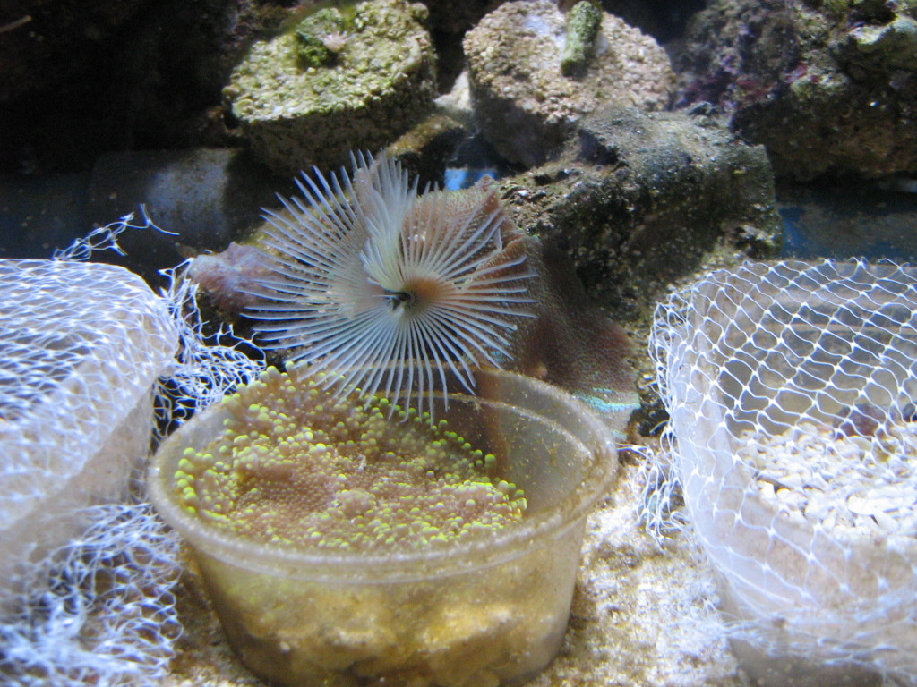 Meeting 12 - Fragman 6