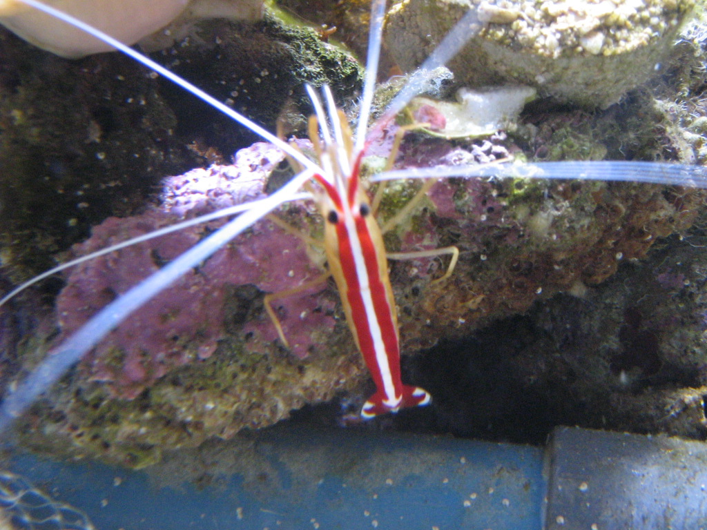 Meeting 12 - Fragman 2