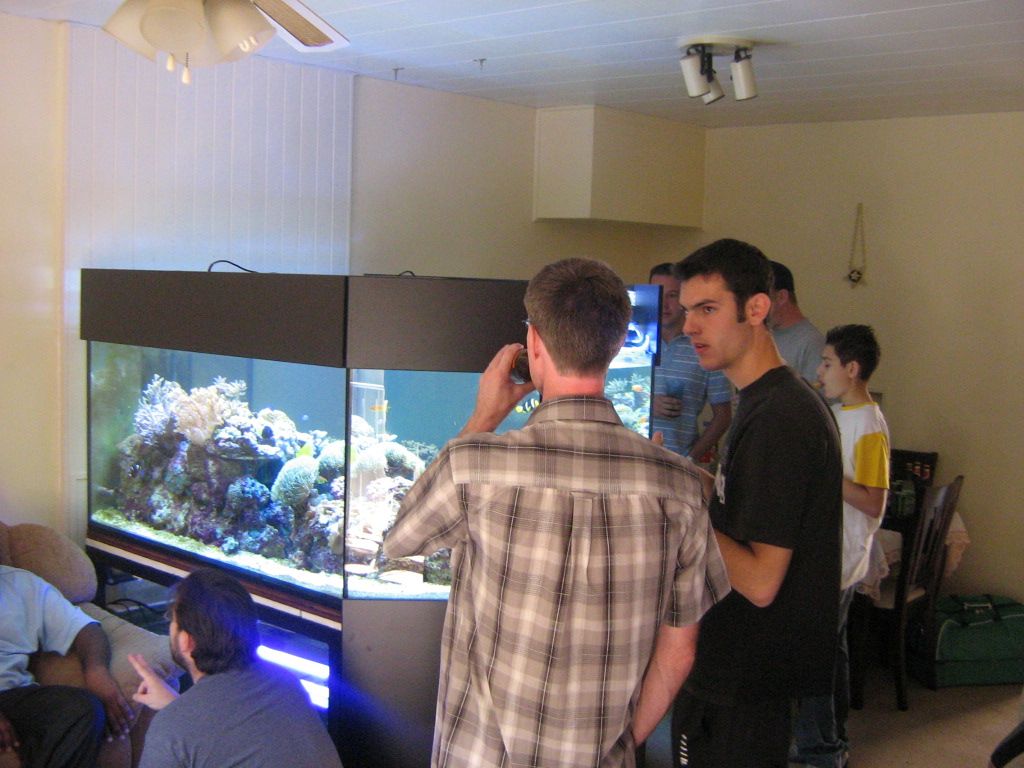 Meeting 13 - Midasblenny1 (Sponsor)