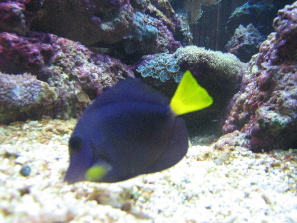 Meeting 13 - Midasblenny1 (Sponsor) 4