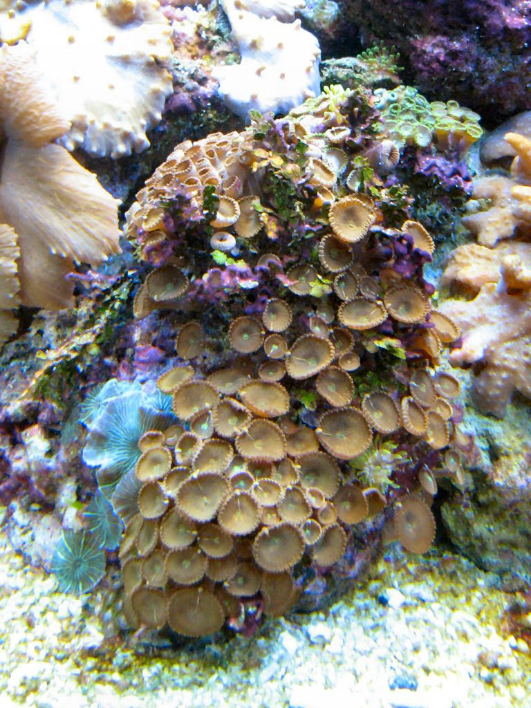 Meeting 13 - Midasblenny1 (Sponsor) 7