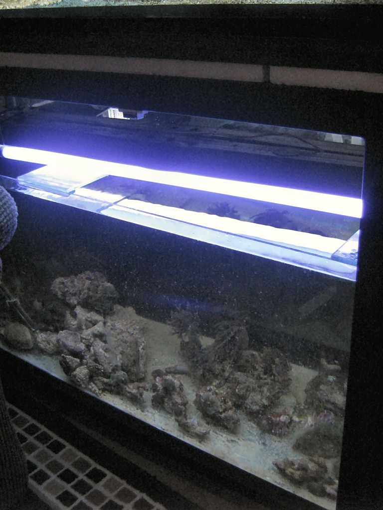 Meeting 13 - Midasblenny1 (Sponsor)