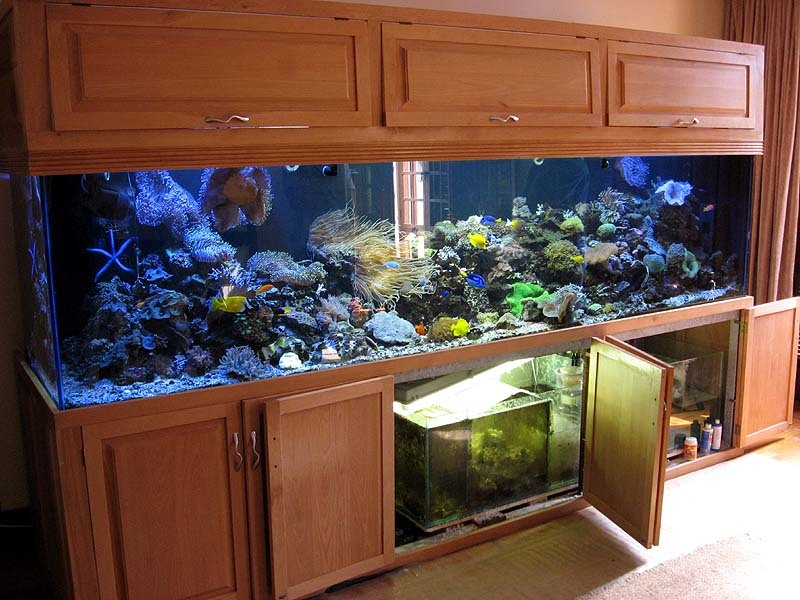 Meeting 14 Adriaan (Pretoria) 7