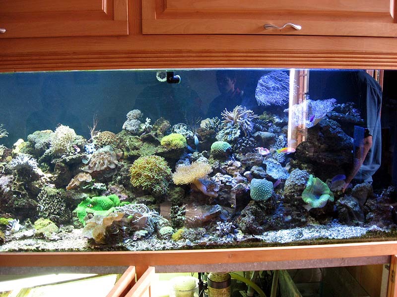 Meeting 14 Adriaan (Pretoria) 3