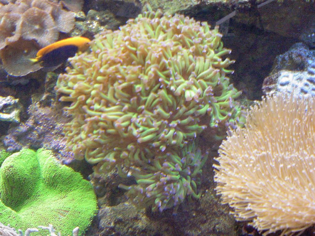 Meeting 14 Adriaan (Pretoria) 4