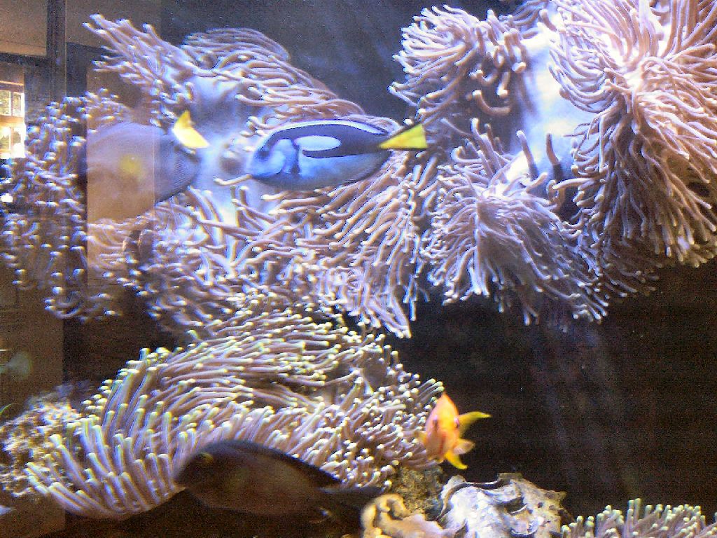 Meeting 14 Adriaan (Pretoria)