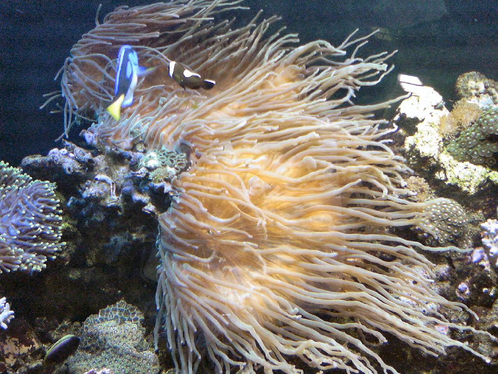 Meeting 14 Adriaan (Pretoria) 2