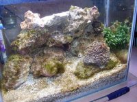 20 Liter Nano-Reef